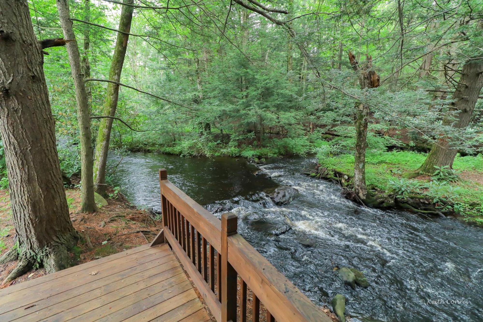 Magnolia Streamside Resort Canadensis Rom bilde